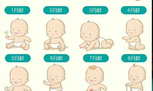 7个月婴儿能吃火龙果网 - 七个月的婴儿能吃火龙果吗,七个月的婴儿能吃火龙果吗