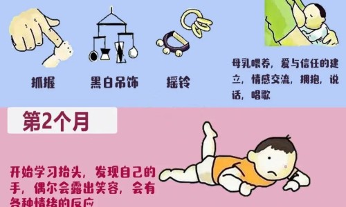 7个月婴儿可以吃火龙果吗-7个月婴儿能吃火龙果网 - 七个月的婴儿能吃火龙果吗,七个月的婴儿能吃火龙果吗